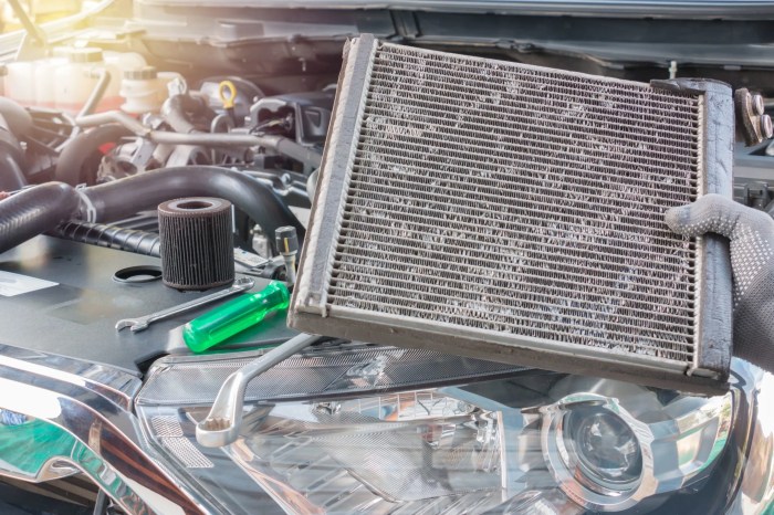 Radiator service